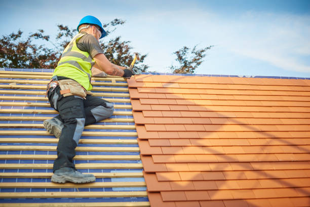 Best Roof Insulation Installation  in Columbus, NE